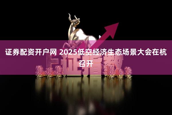 证券配资开户网 2025低空经济生态场景大会在杭召开